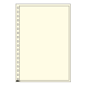Formato DIN A4 (210x297) con foratura a 18 anelli